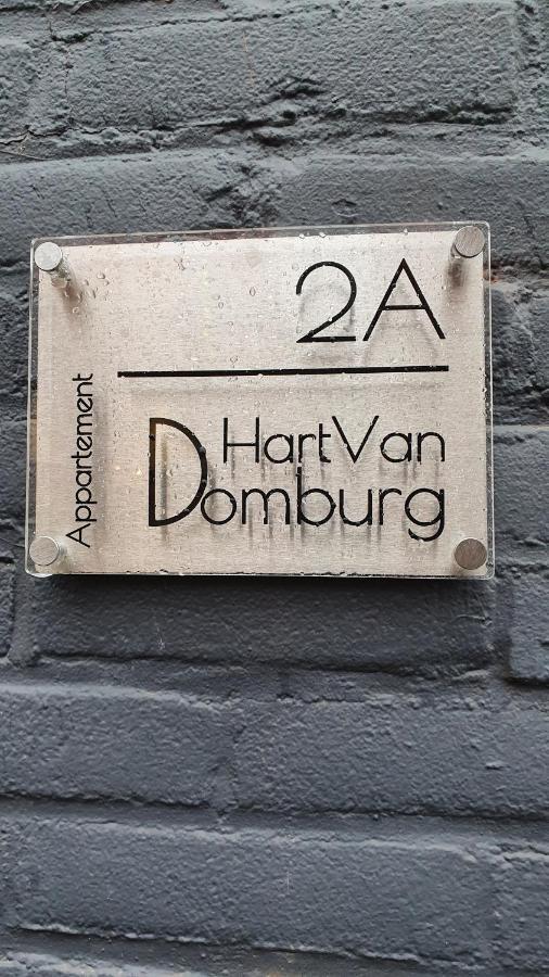 Schitterend appartement HartVanDomburg Exterior foto